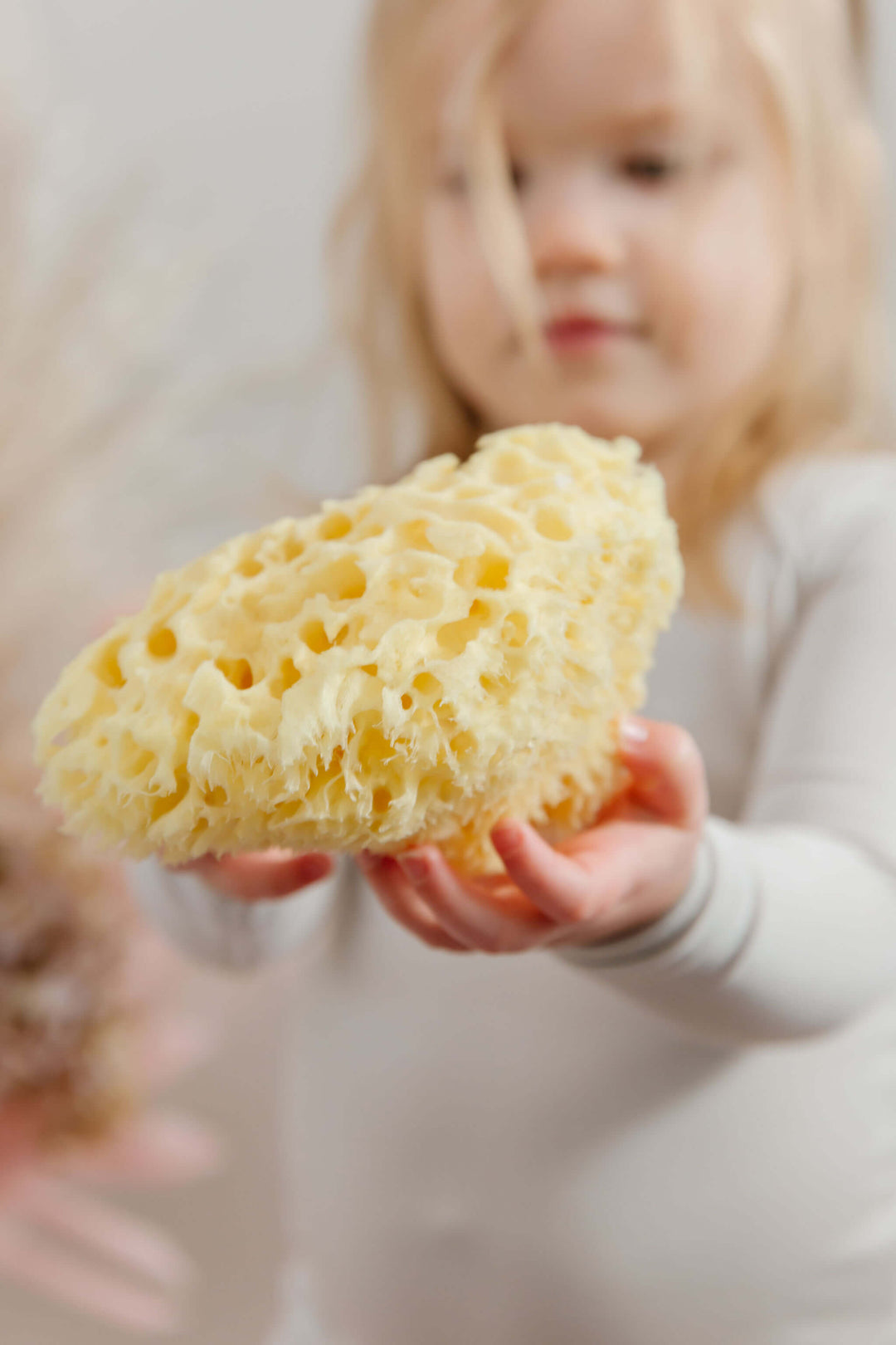 summer infant comfy bath sponge in aqua All Natural Sea Sponge